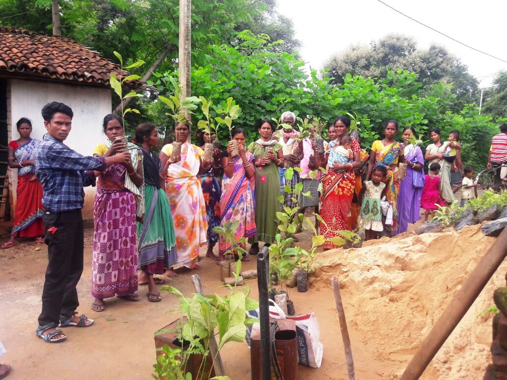 Badgudiali seedling distribution to villagers Rajgangpur FMU Sgup