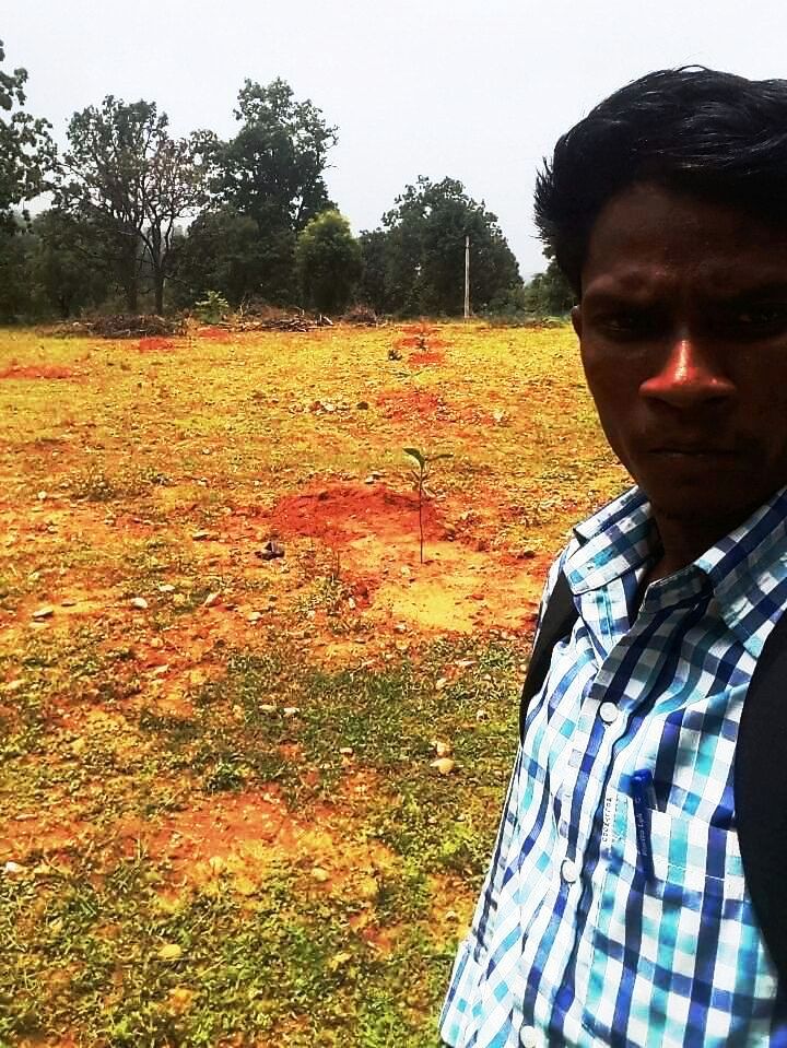 Chakarjharia plantation 2 Rajgangpur FMU Sgup