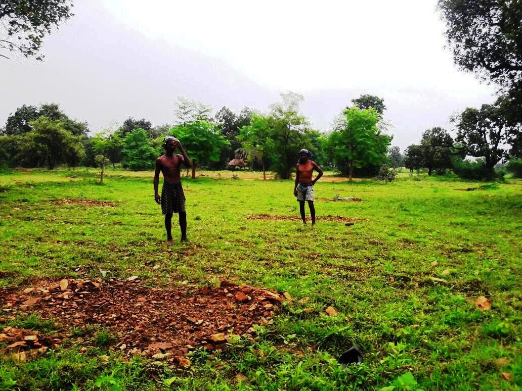 Chakarjharia plantation going on through convergence Rajgangpur FMU Sgup