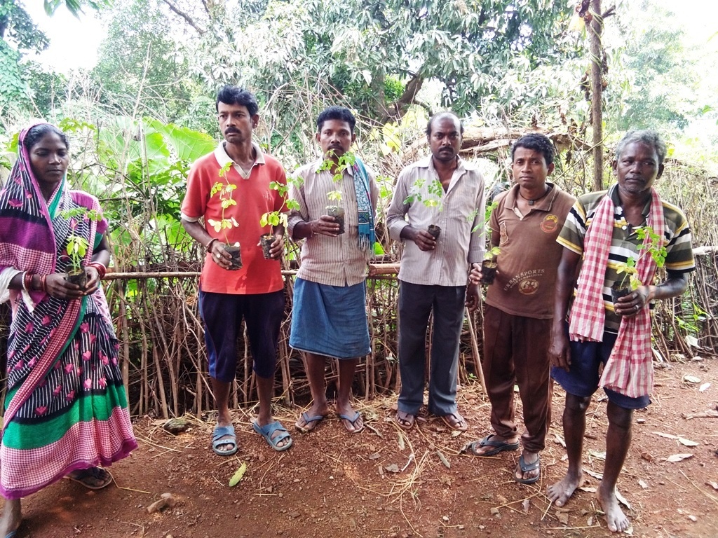 Convergence with Horticulture Dept. distribution of drum stick plant Barsuan VSS Barsuan FMU