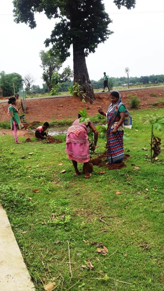 Indivisual plantation at Bichhnapati vss AJY SGUP