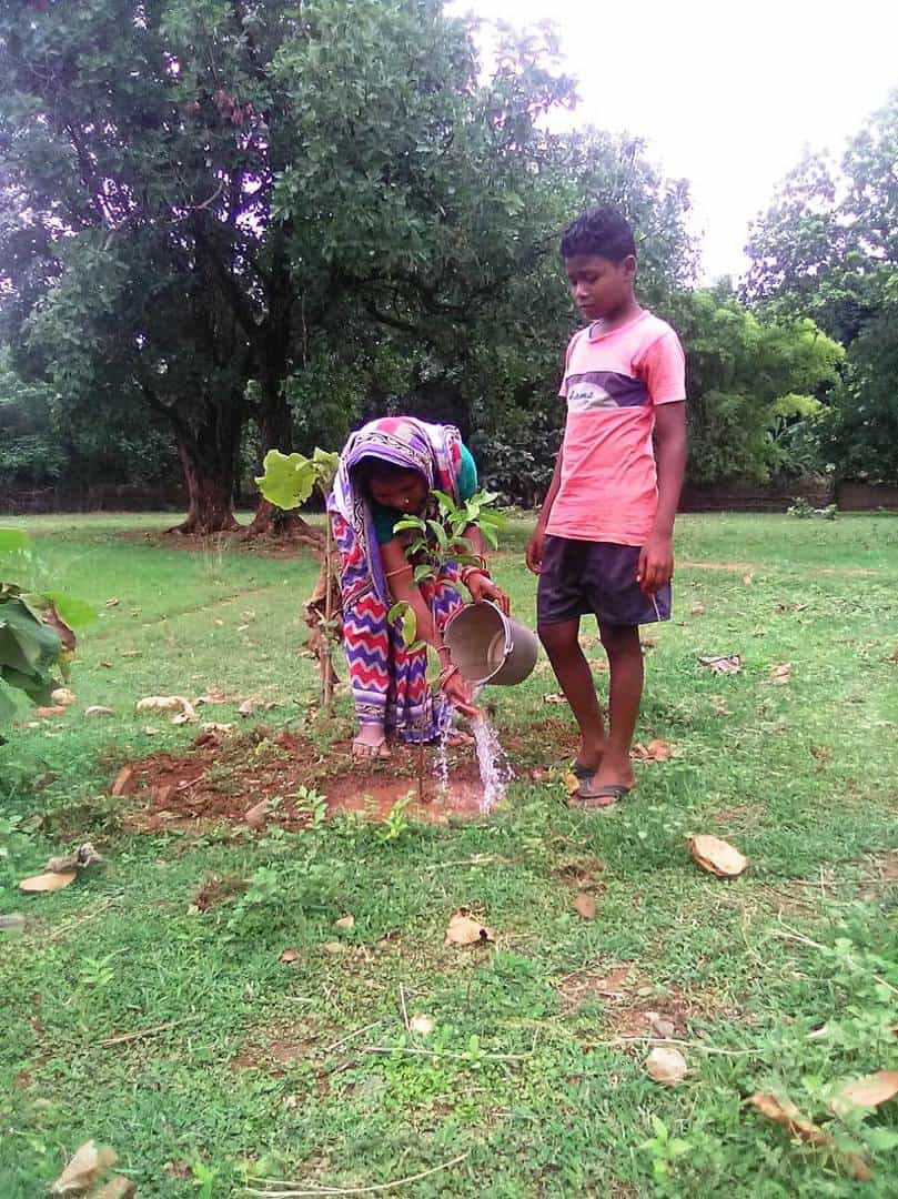 Indivisual plantation at Bichhnapati vss AJY SGUP Kuliposh