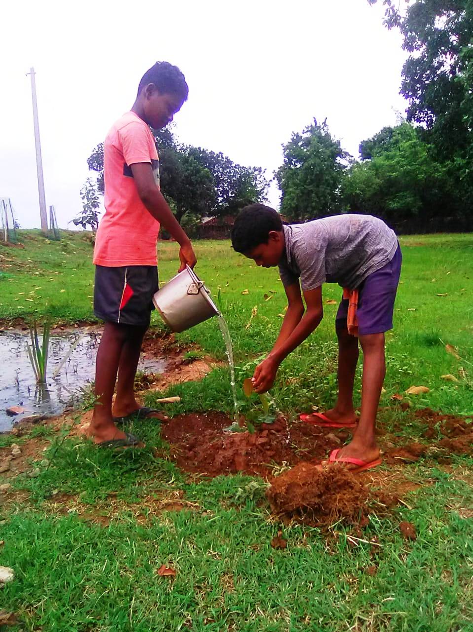 Indivisual plantation at - Hatibahal vss AJY SGUP Kuliposh