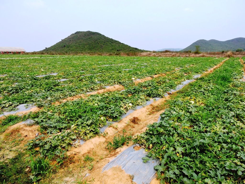 NABARD ODISHA CGM & DDM Visit