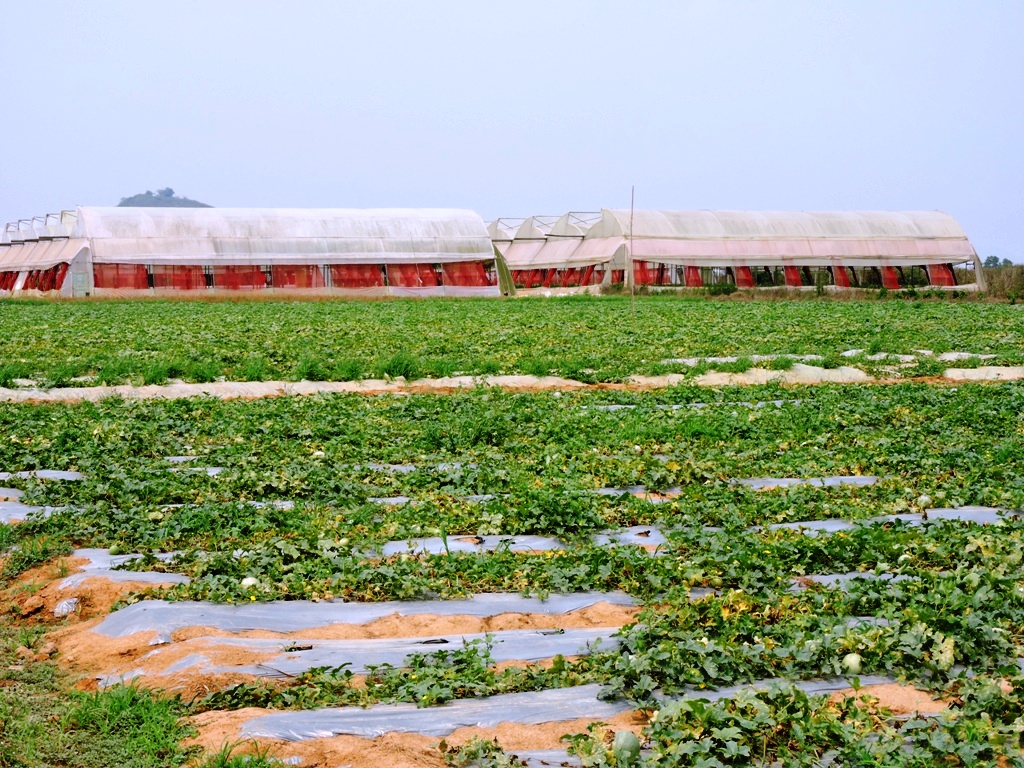 NABARD ODISHA CGM & DDM Visit