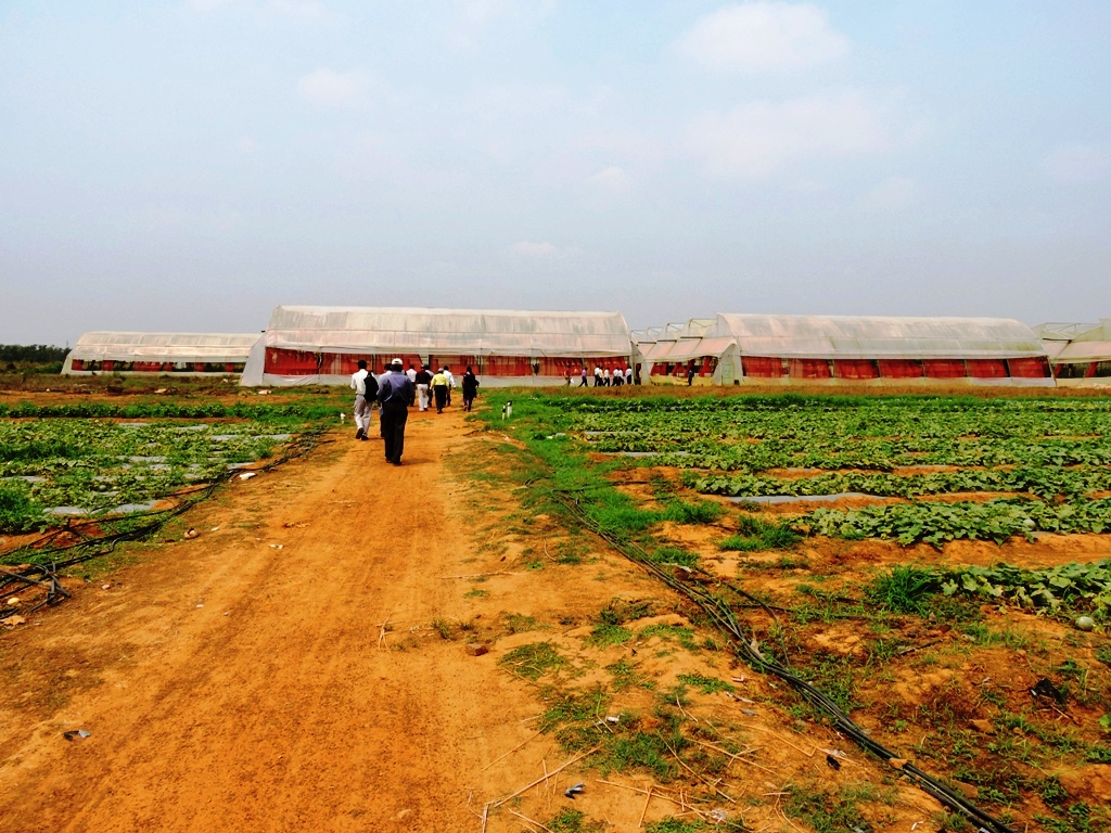 NABARD ODISHA CGM & DDM Visit