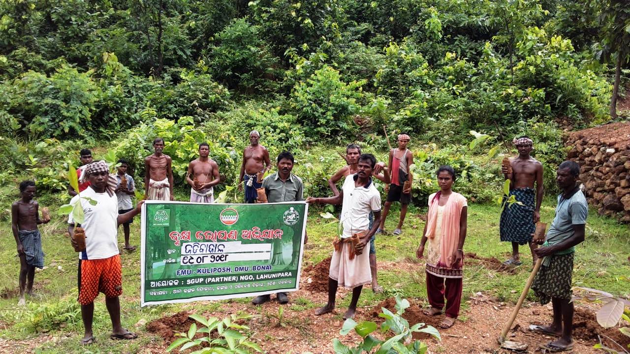 Plantation at Jadibahal vss (AJY SGUP Kuliposh
