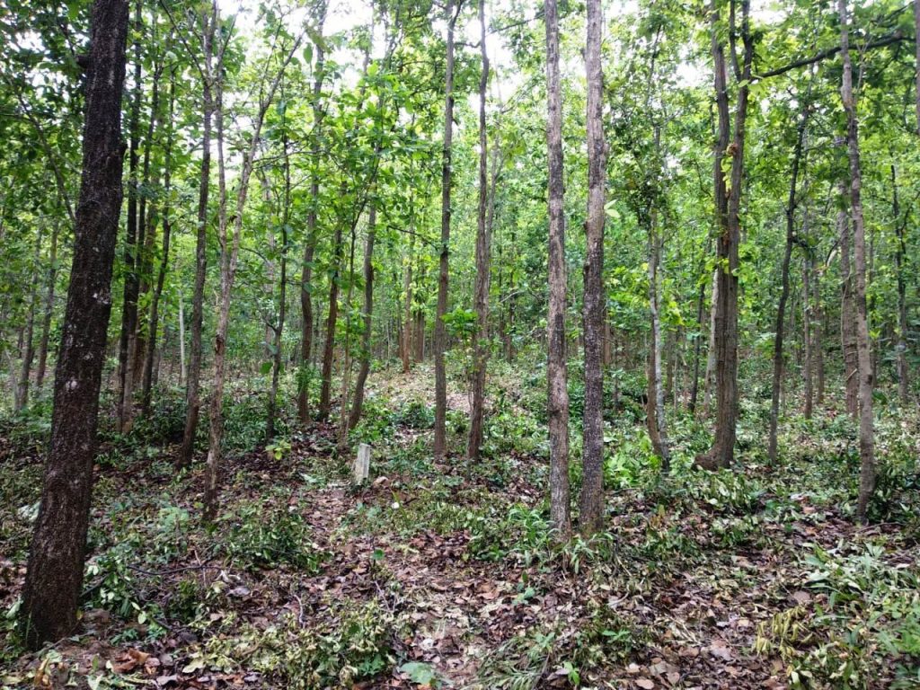 SGUP AJY Rengalbeda Banki