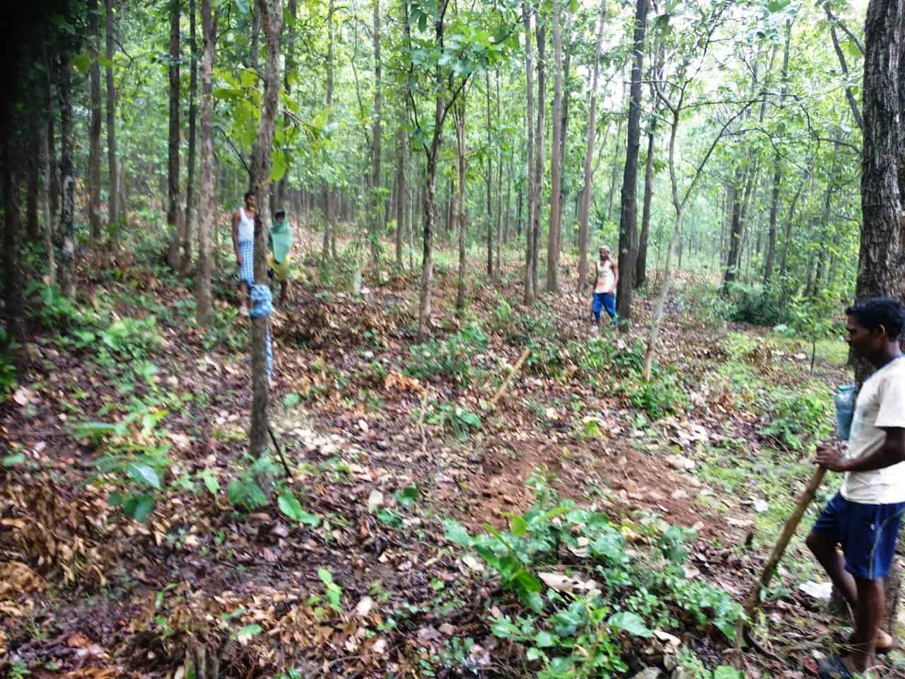 SGUP AJY Rengalbeda Banki