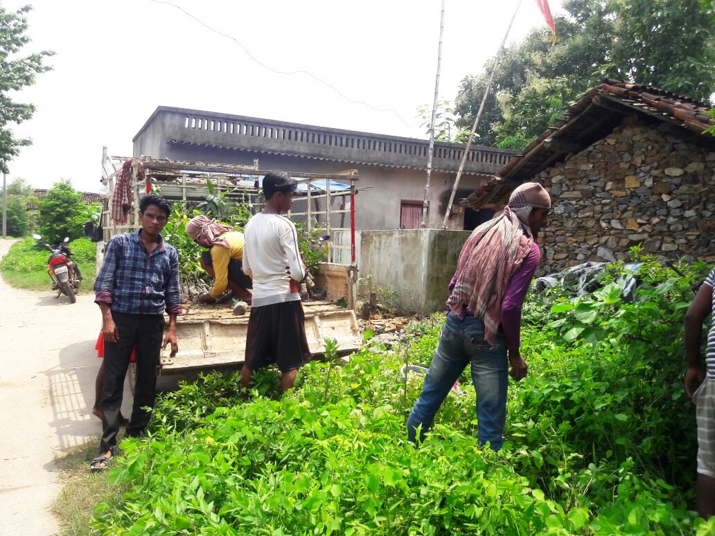 Seedling distribution facilitation at badgudiali Rajgangpur FMU Sgup