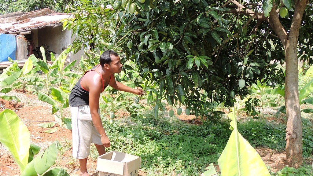 Two DDMs visit and pressure cooker distribution