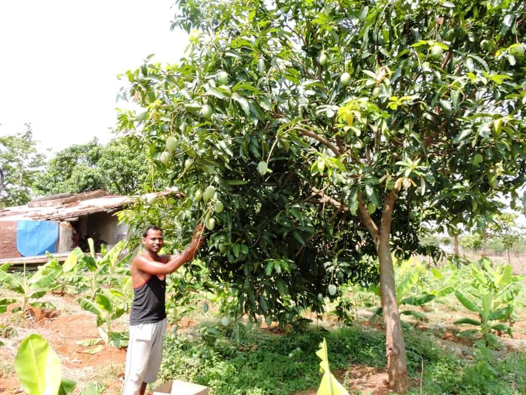 Two DDMs visit and pressure cooker distribution