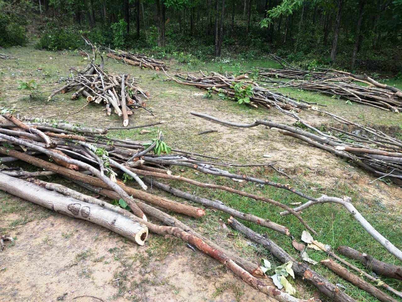 Use fruit distribution At - Rengalbeda VSS AJY SGUP Banki