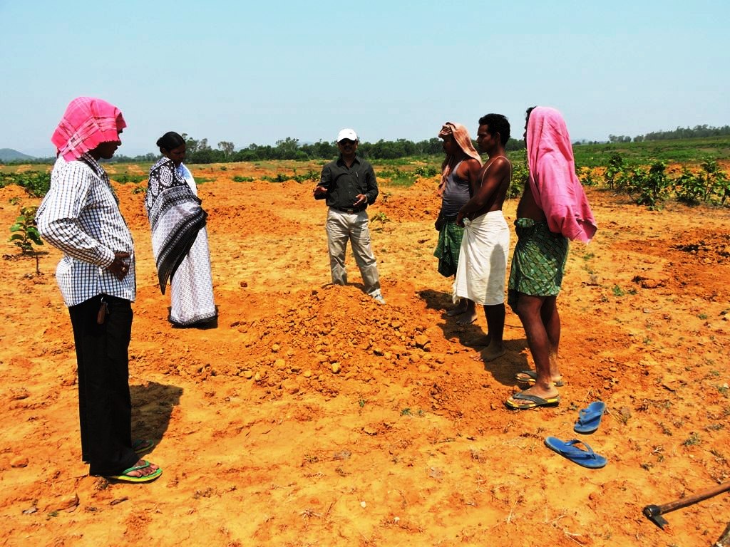 sgup sundargarh field