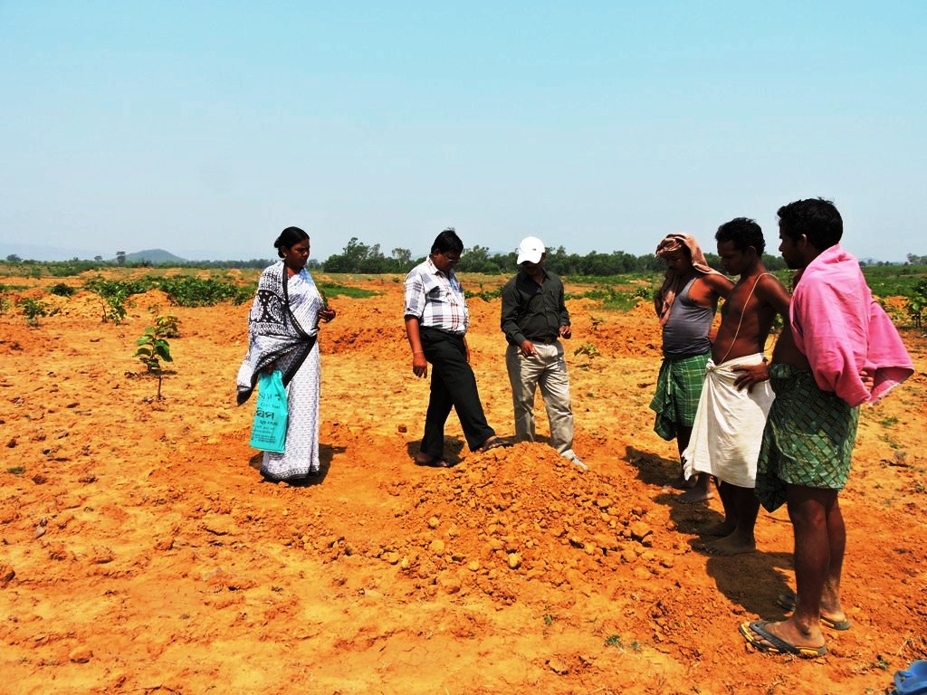 sgup sundargarh field