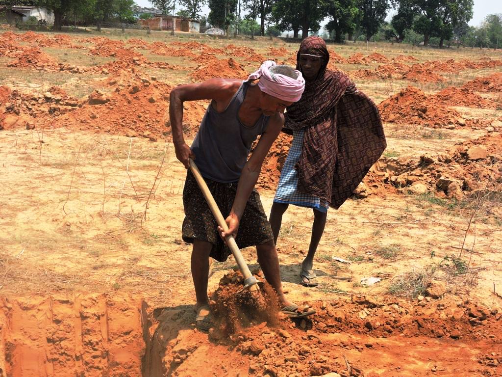 sgup sundargarh field
